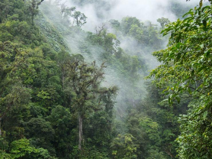 Hostel California Monteverde Ngoại thất bức ảnh
